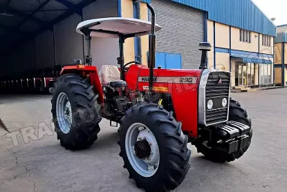 Picture of Massive 290 2025