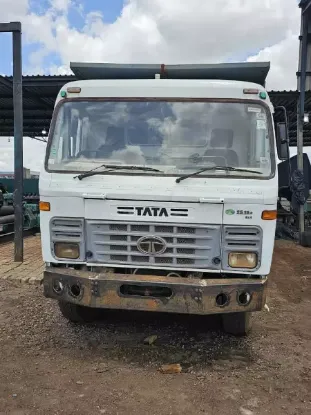 Picture of Tata