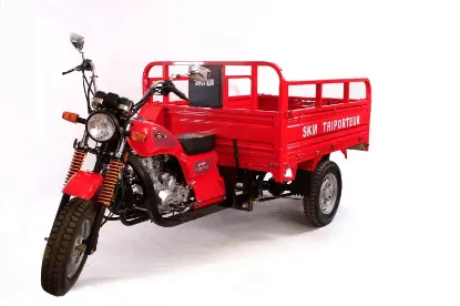 Picture of SKM SK200ZH Motorcycle 2023