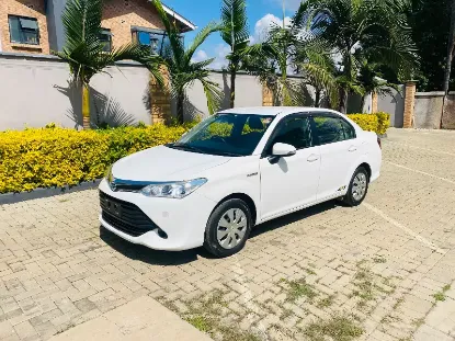 Picture of Toyota Axio 2019