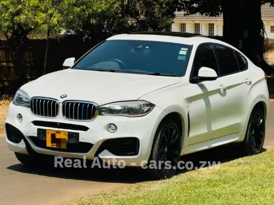 Picture of BMW X6 2020