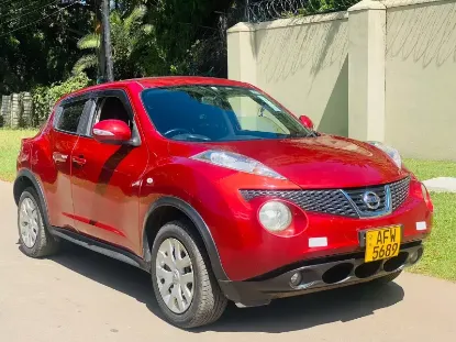 Picture of Nissan Juke 2013