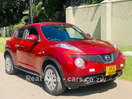 Picture of Nissan Juke 2013