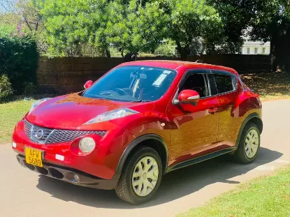 Picture of Nissan Juke 2013