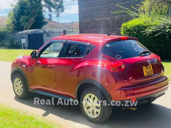 Picture of Nissan Juke 2013