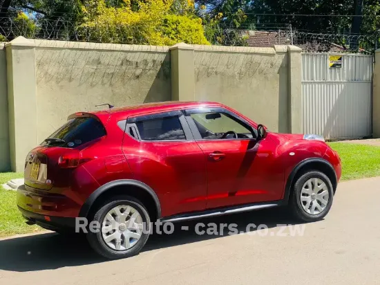 Picture of Nissan Juke 2013