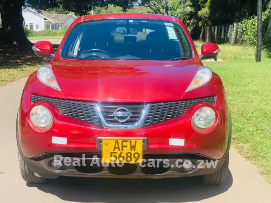 Picture of Nissan Juke 2013