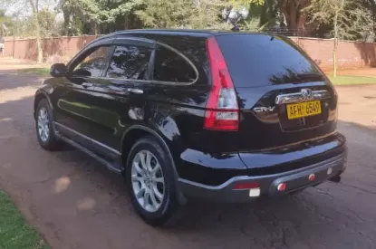 Picture of Car Rental/Car Hire: Honda CR-V (RE), comfy ride