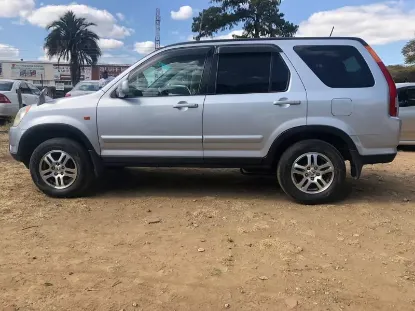 Picture of Car Rental/Car Hire: Honda CRVs