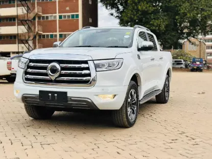 Picture of Gwm P Series 2023