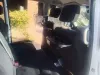 Picture of 8 Seater For Hire
