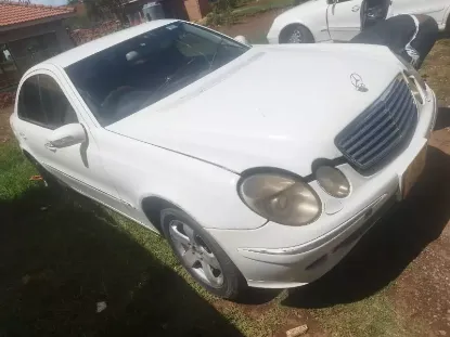 Picture of Mercedes Benz 211 2010