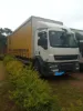 Picture of DAF 2008