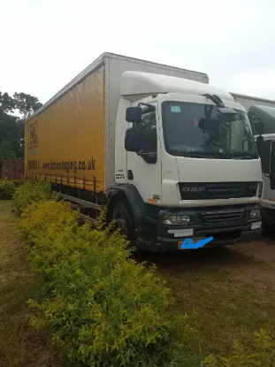 Picture of DAF 2008