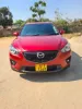 Picture of Mid SUVs: Honda Vezel, Mazda CX5, Toyota Vanguard, Nissan Xtrail T32, Toyota Rav