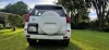 Picture of Toyota Prado 2021