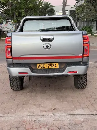 Picture of Gwm P Series 2024
