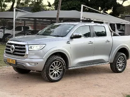Picture of Gwm P Series 2024