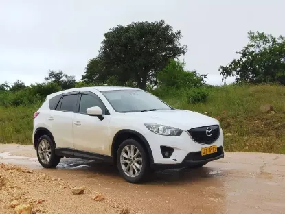 Picture of Mazda CX-5s for hire!
