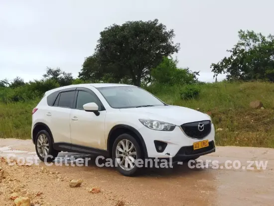 Picture of Mazda CX-5s for hire!