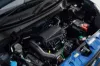 Picture of Suzuki Celerio 2025