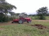 Picture of Massey ferguson 2022