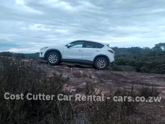 Picture of Mazda CX-5s for hire!
