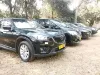 Picture of Mazda CX-5s for hire!