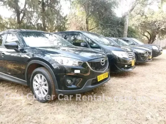 Picture of Mazda CX-5s for rental!
