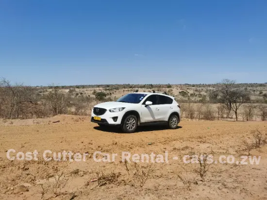 Picture of Mazda CX-5s for hire!