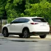 Picture of Mazda CX-8 6/7 seaters for hire!
