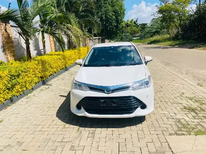 Picture of Toyota Axio 2017