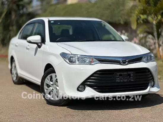 Picture of Toyota Axio 2016
