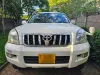 Picture of Prado Automatic 4x4