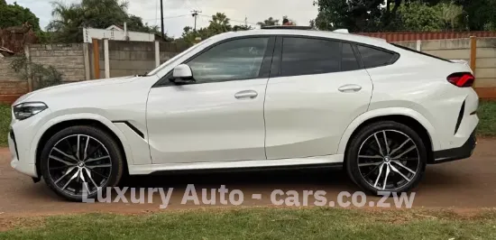 Picture of BMW X6 2020