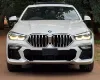 Picture of BMW X6 2020