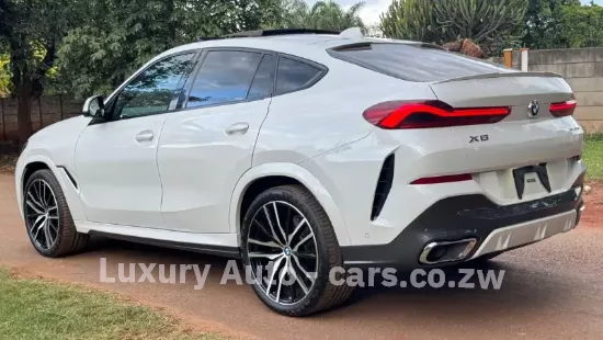 Picture of BMW X6 2020