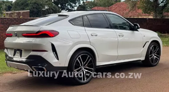 Picture of BMW X6 2020