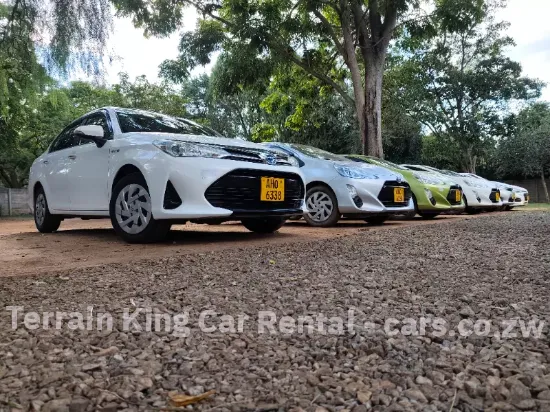 Picture of Sedans : Mazda Axela,Nissan Sylphy,Toyota Axio, Allion, Corolla for hire. From!!