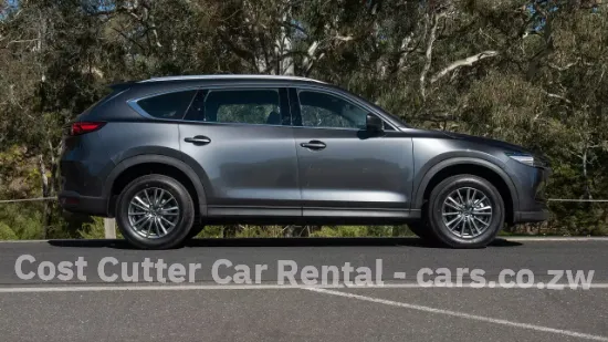 Picture of Mazda CX-8 six / seven seater for hire!