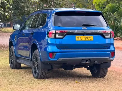 Picture of Ford Everest 2022