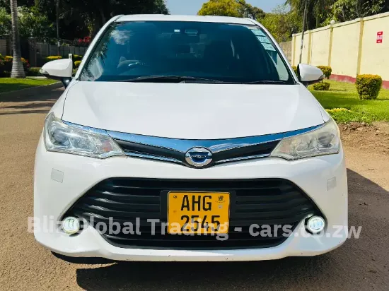 Picture of Toyota Axio 2016
