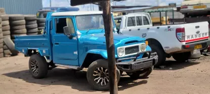 Picture of Toyota Land Cruiser 1982