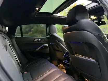 Picture of BMW X6 2021