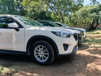 Picture of Mazda CX-5s for hire!