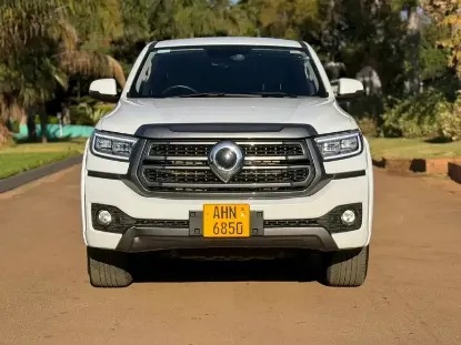 Picture of Gwm P Series 2025