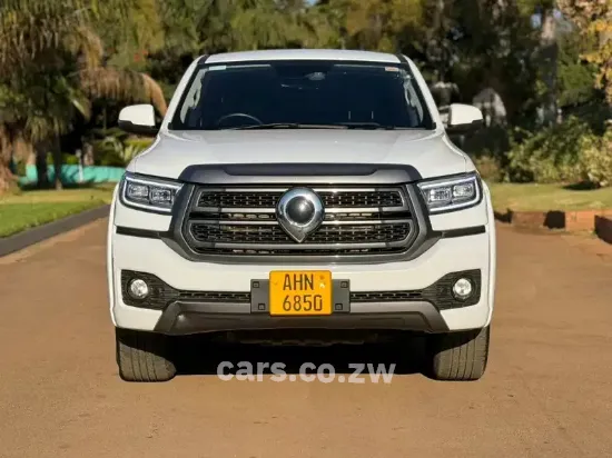 Picture of Gwm P Series 2025