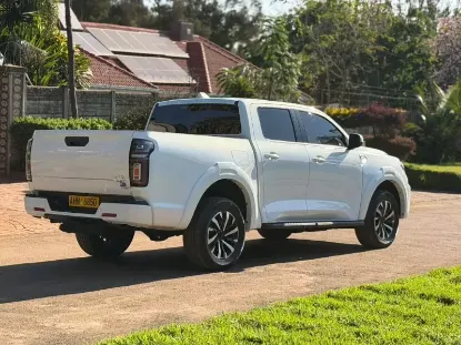 Picture of Gwm P Series 2025