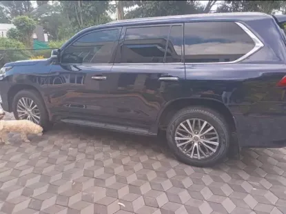 Picture of Lexus LX 2021