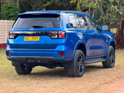 Picture of Ford Everest 2022